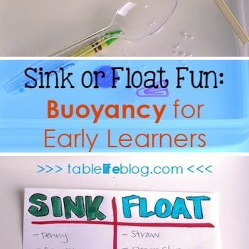 Sink Or Float A Science Experiment For Young Learners