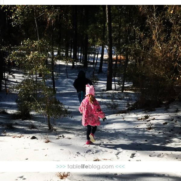 Do you live in an area that doesn't see much snow? If so, you know how tricky it can be to homeschool on the "wish it would snow days." We don't have tips for making snow fall from the sky, but we do have some fun ideas for homeschooling when it's cold, but no hint of snow happening!