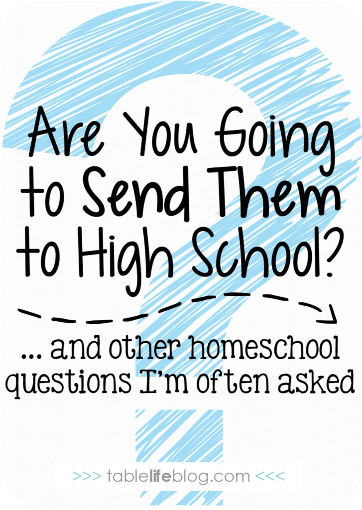 Will You Send Them to High School & Other Homeschool Questions I'm Asked