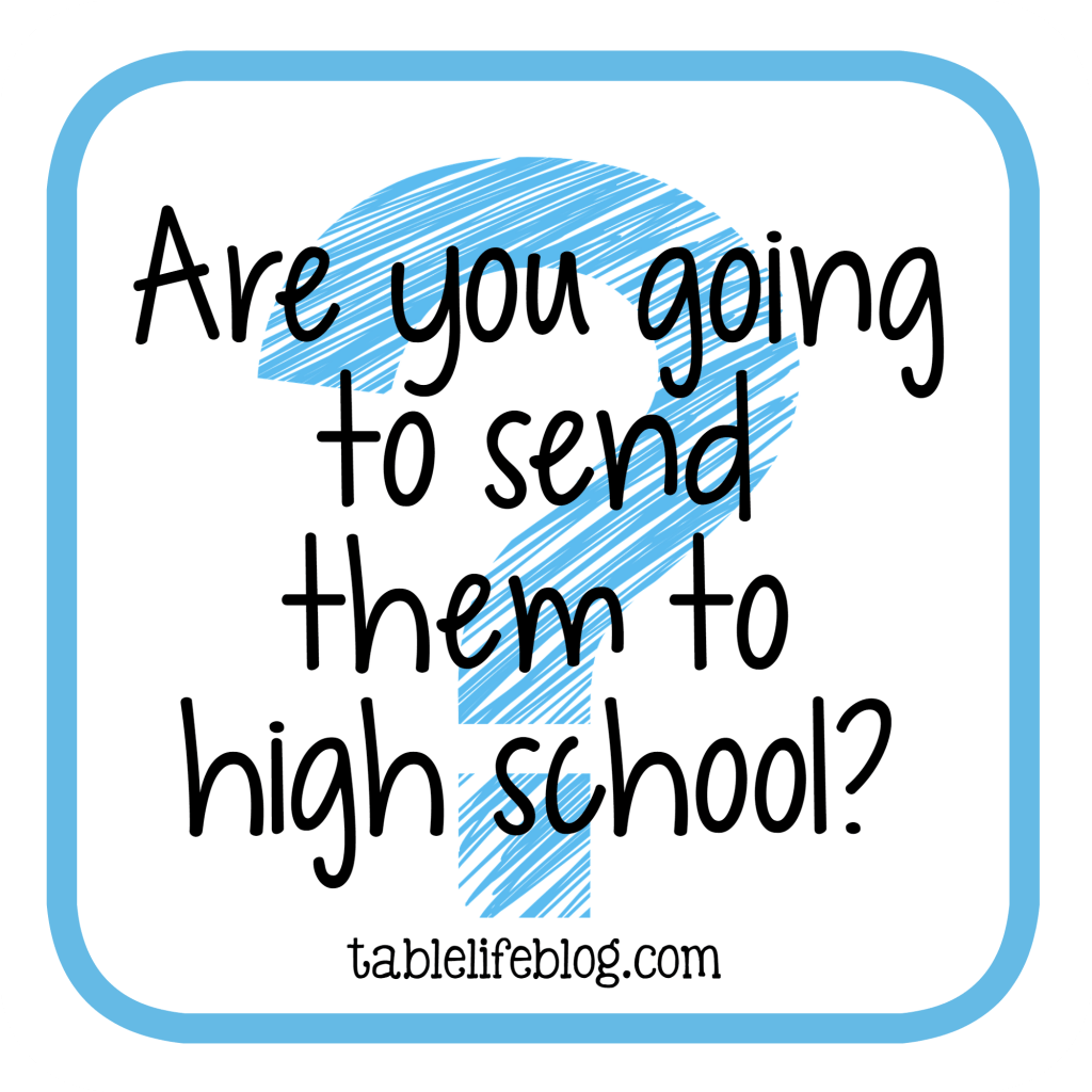 Homeschool Questions I'm Often Asked - Are you going to send them to high school?
