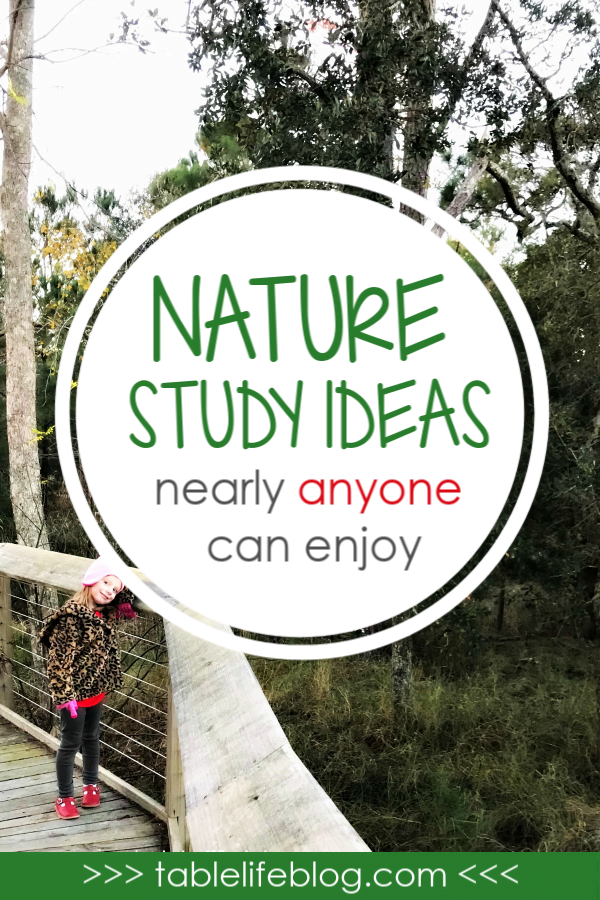 10 Easy Nature Study Ideas Nearly Anyone Can Enjoy