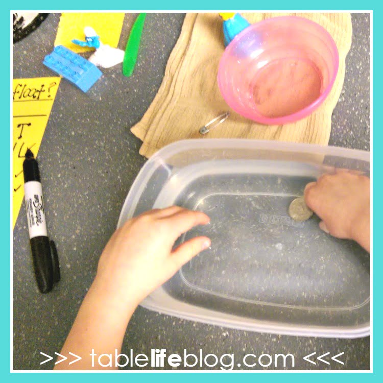 Sink or Float: A Science Experiment for Young Learners