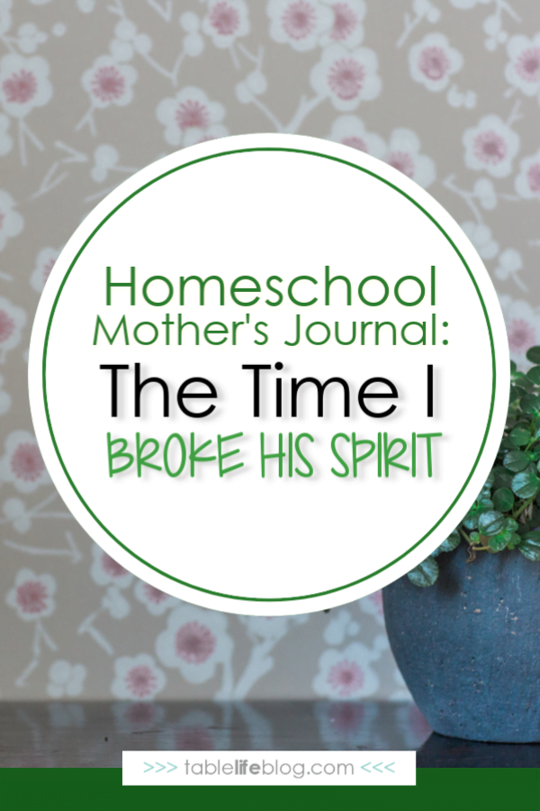 Homeschool Mother's Journal: The Time I Broke His Spirit