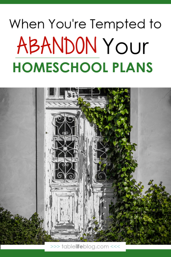 When you're tempted to abandon your homeschool plans