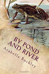 What to Read: Children's Books About Pond Life
