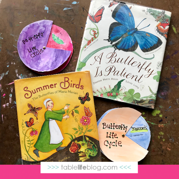 Nature Book Club: Butterfly Life Cycle Watercolor Wheel Inspired by Maria Merian