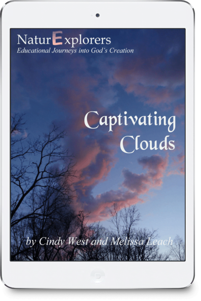 Nature Book Club: Learning About Clouds with Captivating Clouds