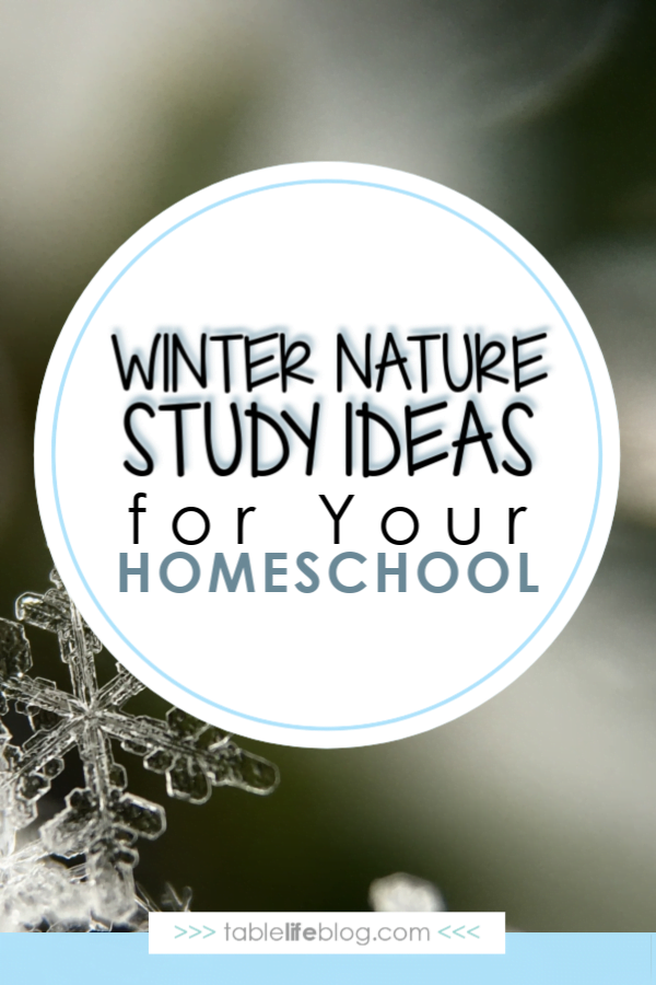 8 Easy Winter Nature Study Ideas for Your Homeschool