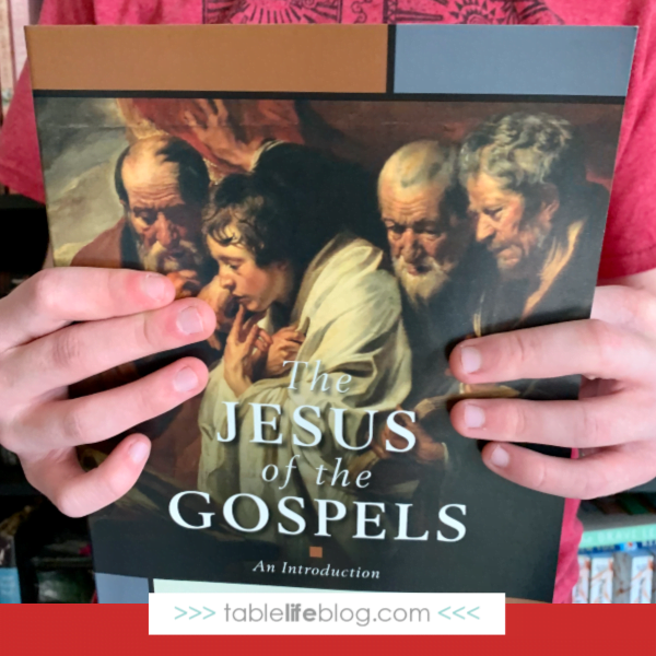The Jesus of the Gospels: a Bible Commentary for Christian Teens