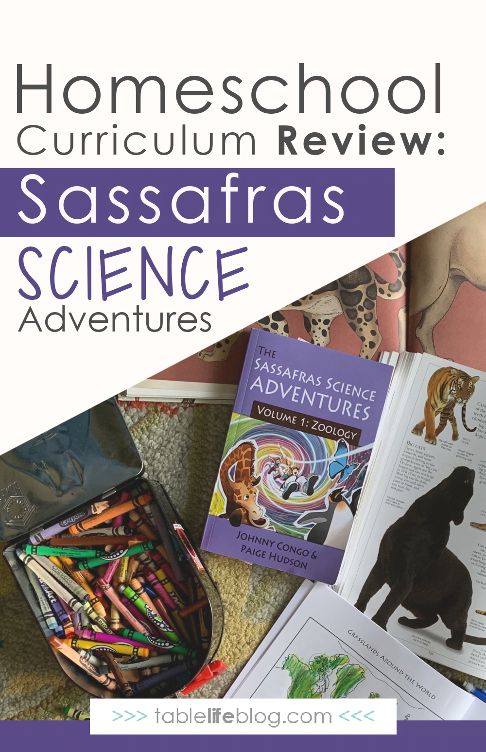 Curious about using Sassafras Science Adventures in your homeschool? Here's what you need to know about this story-based elementary science curriculum.
