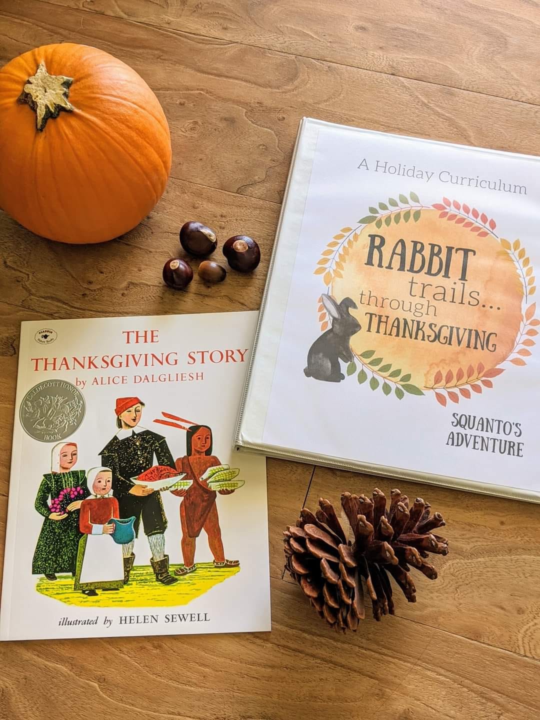 Rabbit Trails through Thanksgiving - Squanto's Adventure