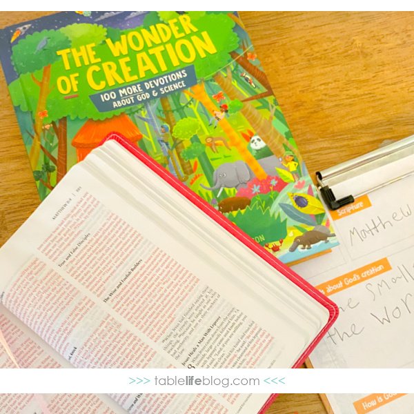 Review: The Wonder of Creation Devotional for Kids
