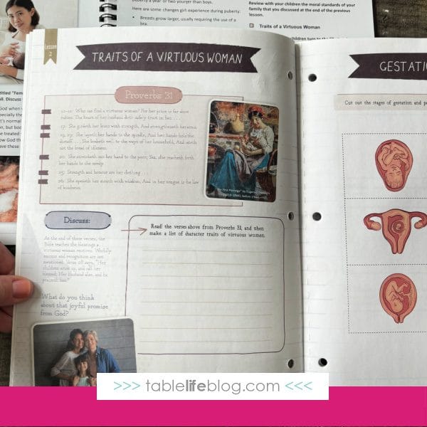 What to consider when looking for a sex ed curriculum for your homeschool